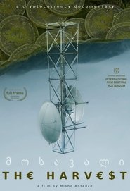 Poster The Harvest 2019