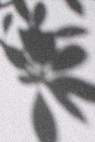 Poster Chances de luz 2017