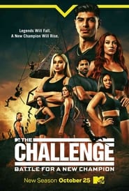 The Challenge постер