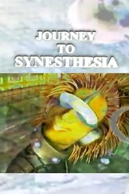 Poster Journey to Synesthesia 1994