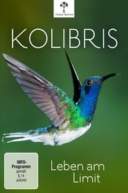 Poster Kolibris - Leben am Limit 2012