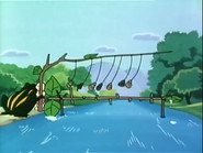 Stylish frog gymnastics