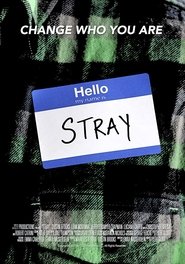 Stray Stray