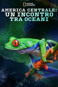 Where Oceans Collide) Where Oceans Collide (2018)