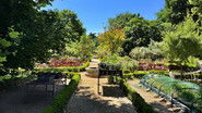 The Royal Botanic Garden of Madrid