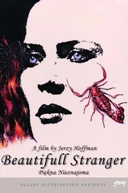 Poster Beautiful stranger 1993