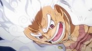 ¡El mundo que Luffy quiere!