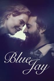 Poster Blue Jay