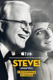 STEVE! (martin) a documentary in 2 pieces poster