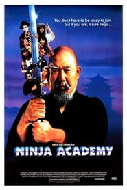 Ninja Academy постер