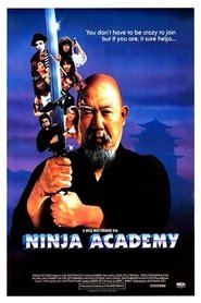 Ninja Academy постер