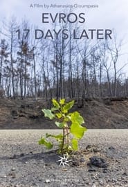 Poster Evros – 17 Days Later