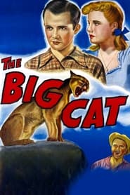 Poster The Big Cat 1949