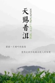 天赐普洱 (2015) 天赐普洱 (2015)