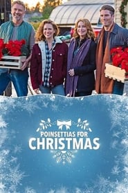 Poster Poinsettias for Christmas 2018