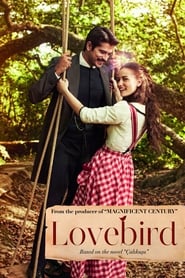 Çalıkuşu - Season 1 Episode 16