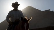 Crossing Borders: Mexican Bison