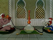 Socko in Morocco