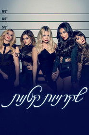 שקרניות קטנות (2010)