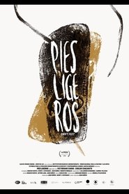 Poster Swift Feet 2016