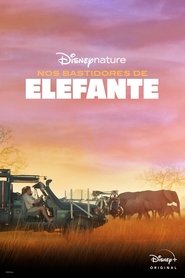 Pôster de Nos Bastidores de Elefante