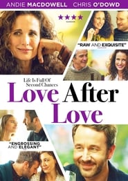 Love After Love постер