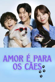 Amor é para os cães
