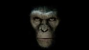 Rise of the Planet of the Apes