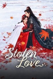 Poster Stolen Love 2025