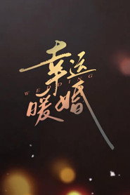 幸运暖婚 (2022)