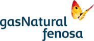 Logo for Gas Natural Fenosa