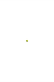 The Tennis Ball