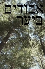 אבודים ביער