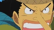 Boss Luffy is the Culprit? Track Down the Missing Great Cherry Tree!