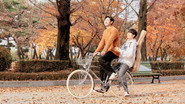 따라 바람