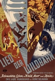 Poster Lied der Wildbahn 1950