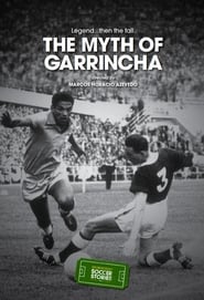 O Mito de Garrincha