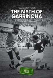 Poster The Myth of Garrincha 2014