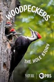Woodpeckers: The Hole Story) Woodpeckers: The Hole Story (2022)