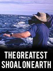 Greatest Shoal on Earth 2000