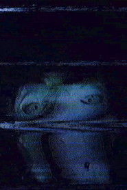 The Mistwood Incident