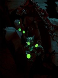 Experimental Film of Eric Leiser (Volume 1,2,3) (2015)