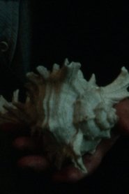 Does the Sea Have a Heart?