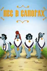 Poster for The Dog in Boots