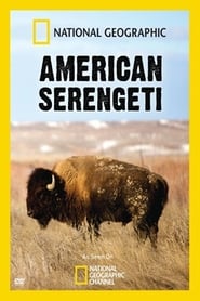 Американське Серенґеті постер