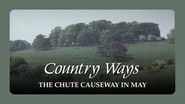 The Chute Causeway in May