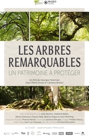 Poster Les arbres remarquables, un patrimoine à protéger 2019