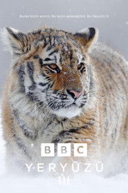 Yery&uuml;z&uuml; III (2023)