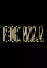 Poster Pedro Navaja 2015