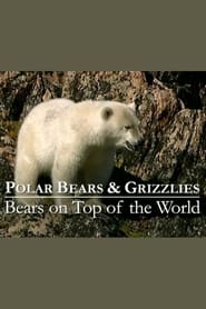 Poster Polar Bears & Grizzlies: Bears on Top of the World